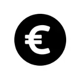 Euro icon